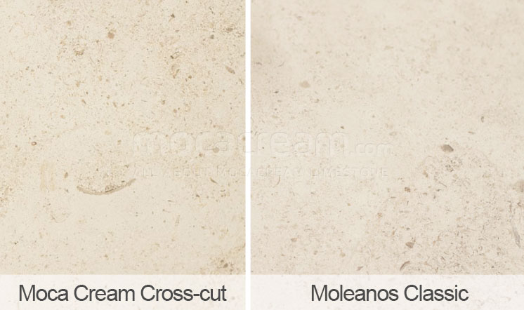 Moca Cream cross-cut vs Moleanos - comparison